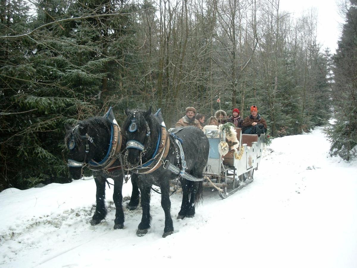 SchöfwegBayern Ferienland Sonnenwaldアパートメント エクステリア 写真